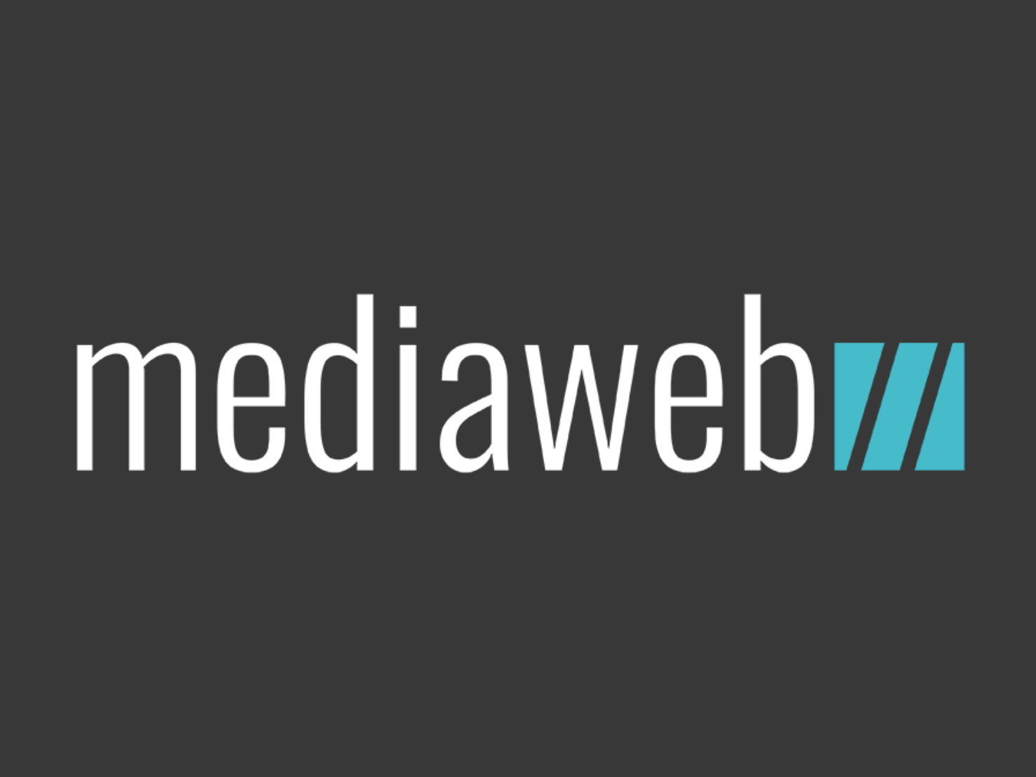 Mediaweb GbR Webagentur & Werbeagentur / Bernhard Schlotter & Diana Kurek